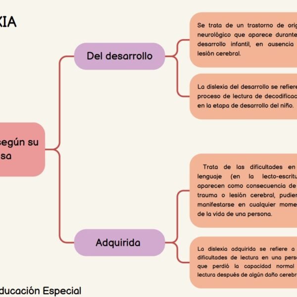 Infografía sobre Dislexia