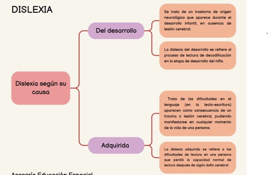 Infografía sobre Dislexia